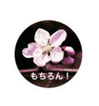 The flower series（個別スタンプ：18）