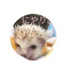 ハリネズミのmochi（個別スタンプ：11）