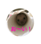 ハリネズミのmochi（個別スタンプ：23）