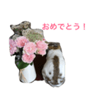 うさぎドロップくん（個別スタンプ：5）