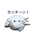 うさぎドロップくん（個別スタンプ：12）