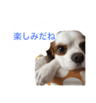 よく使う日常語（個別スタンプ：29）