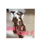 よく使う日常語（個別スタンプ：30）