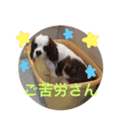 よく使う日常語（個別スタンプ：32）