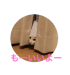 ういたび夢気分2（個別スタンプ：7）