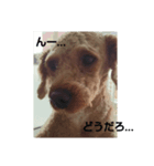 犬！！！（個別スタンプ：4）