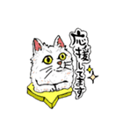 敬語使いの美猫達（個別スタンプ：4）