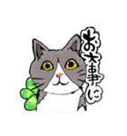 敬語使いの美猫達（個別スタンプ：6）