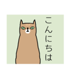 俺の猫【茶トラ】（個別スタンプ：1）