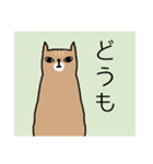俺の猫【茶トラ】（個別スタンプ：2）