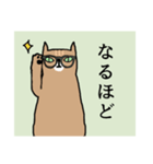俺の猫【茶トラ】（個別スタンプ：17）