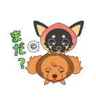 チワワの桃犬！よく使う言葉（個別スタンプ：15）