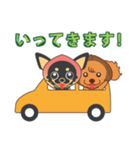 チワワの桃犬！よく使う言葉（個別スタンプ：22）