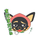 チワワの桃犬！よく使う言葉（個別スタンプ：37）