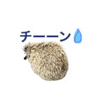 ハリネズミのシナモン。第二弾（個別スタンプ：10）