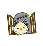 ぬこねこ日記（個別スタンプ：4）