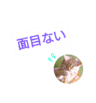 猫のあんずです(日常会話)（個別スタンプ：19）