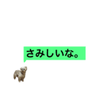 愛犬もなか（個別スタンプ：4）