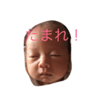 ほそやんのすたんぷやで（個別スタンプ：5）