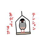 どうも、動く文鳥です（個別スタンプ：1）