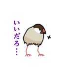 どうも、動く文鳥です（個別スタンプ：7）