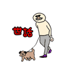 犬好きなアザラシ（個別スタンプ：1）