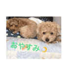 4匹の犬（個別スタンプ：19）