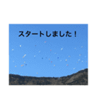 パラグライダー大好き（個別スタンプ：4）