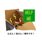 きなこズスタンプ（個別スタンプ：7）