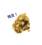 多肉植物で挨拶（個別スタンプ：28）
