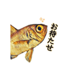 海の幸 魚介類（個別スタンプ：21）