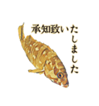 海の幸 魚介類（個別スタンプ：39）