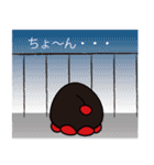 ブラックコスモ（個別スタンプ：39）