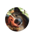 シェルティのスタンプ(sheltie stamp)（個別スタンプ：7）