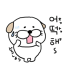 犬のくうたん part10 韓国語ver（個別スタンプ：15）