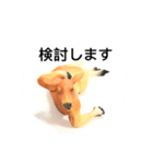 苦労カンガルー（個別スタンプ：2）