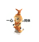 苦労カンガルー（個別スタンプ：8）