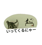 猫のひすい Part1（個別スタンプ：15）