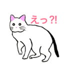 白ねこ こふで君（個別スタンプ：1）