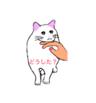 白ねこ こふで君（個別スタンプ：4）