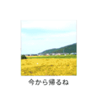 石川県の自然◇リラックス写真（個別スタンプ：7）