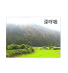 石川県の自然◇リラックス写真（個別スタンプ：9）