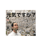 アメマ団長とチルネコのバーのお友達です。（個別スタンプ：11）