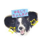 愛犬トング（個別スタンプ：7）