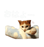 うちの猫 しー（個別スタンプ：1）