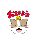 【ねこちゃんのかお】かわいい一言スタンプ（個別スタンプ：1）