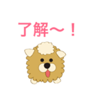 シフォン犬（個別スタンプ：4）