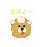 シフォン犬（個別スタンプ：5）