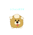 シフォン犬（個別スタンプ：6）