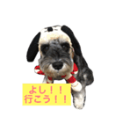 愛犬ムサシの日常（個別スタンプ：7）